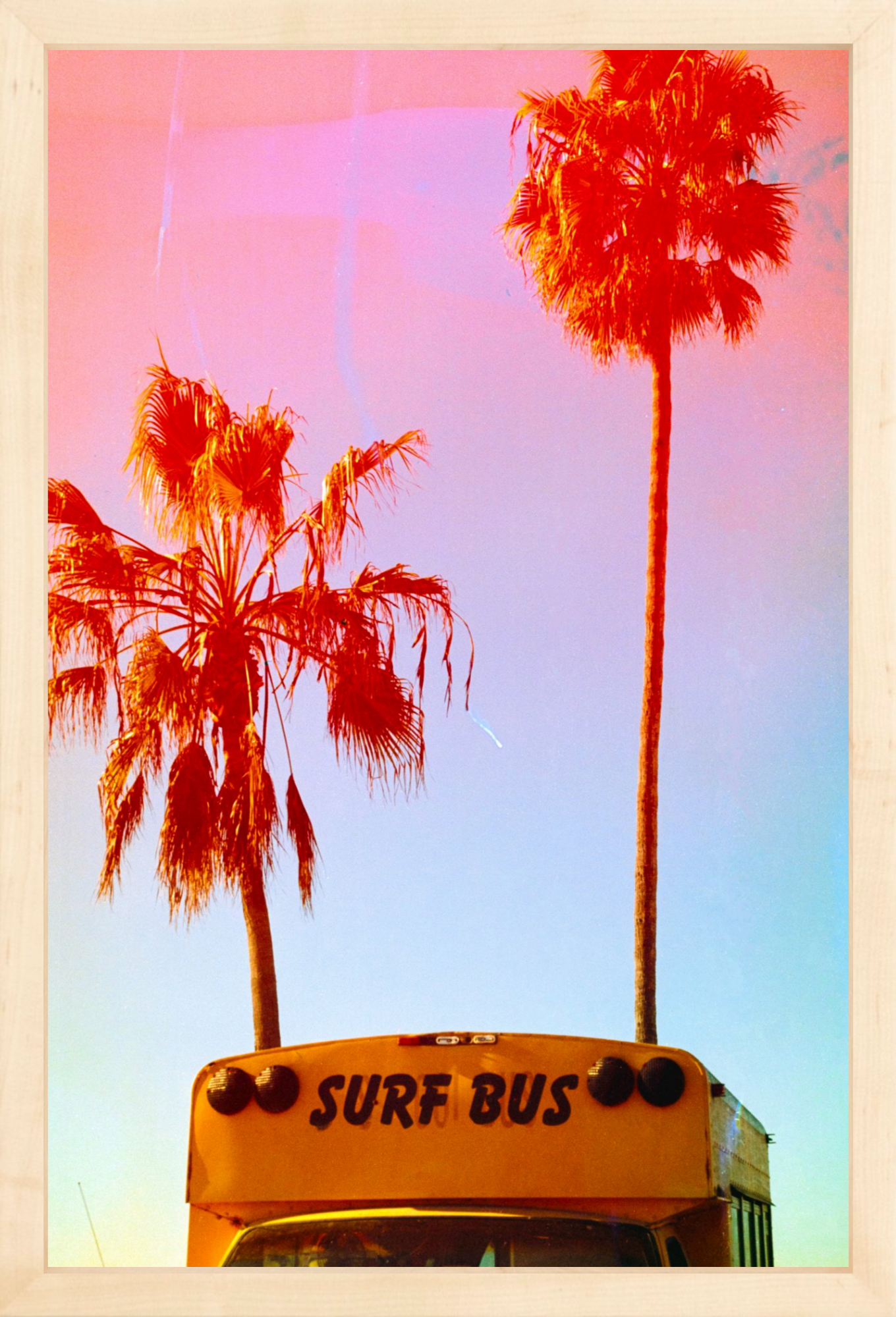 Surf Bus