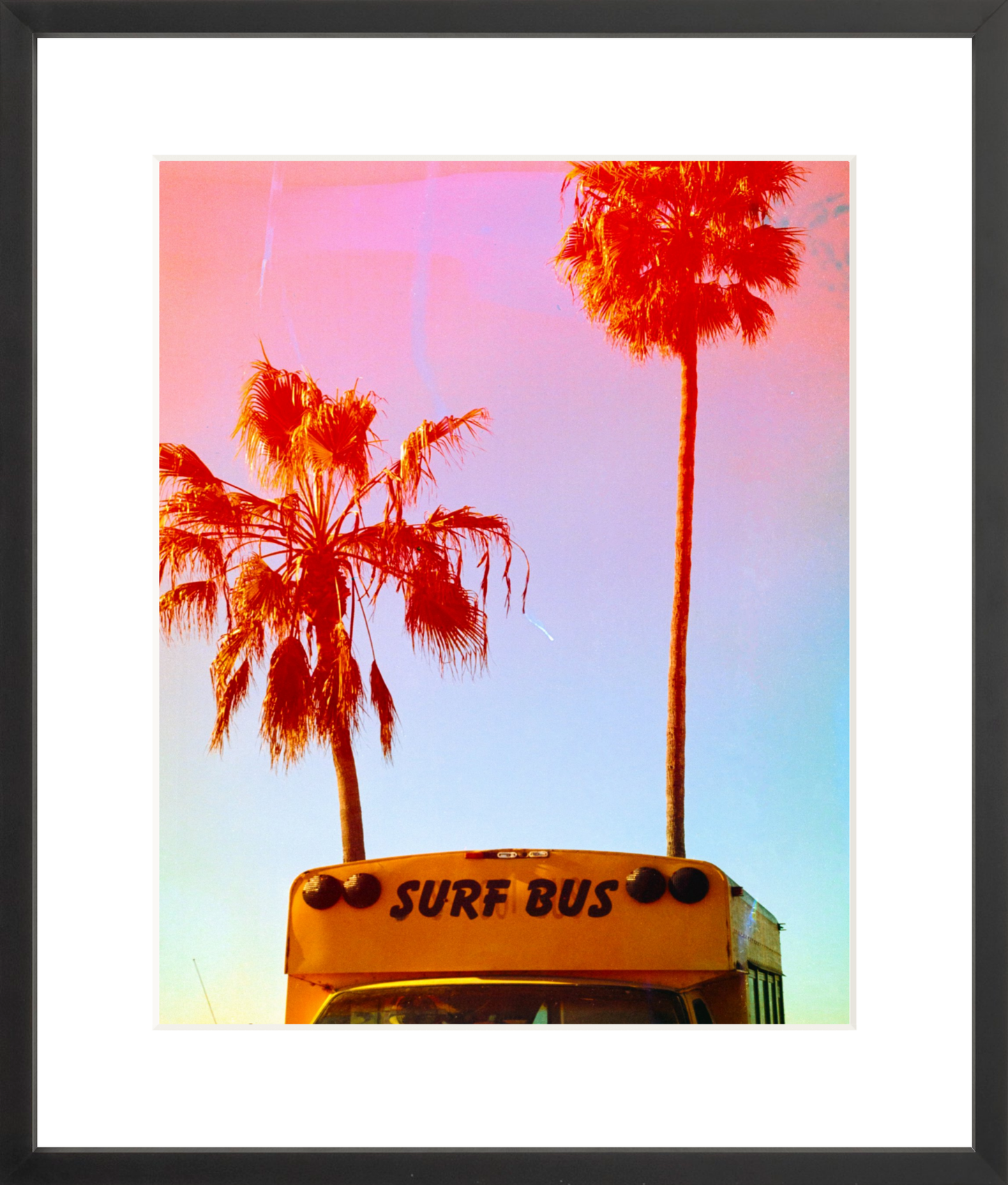 Surf Bus