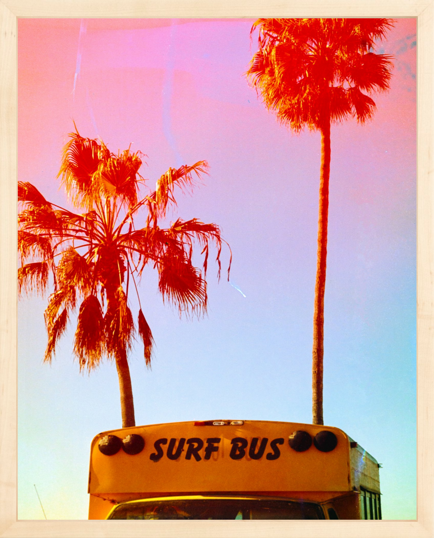Surf Bus