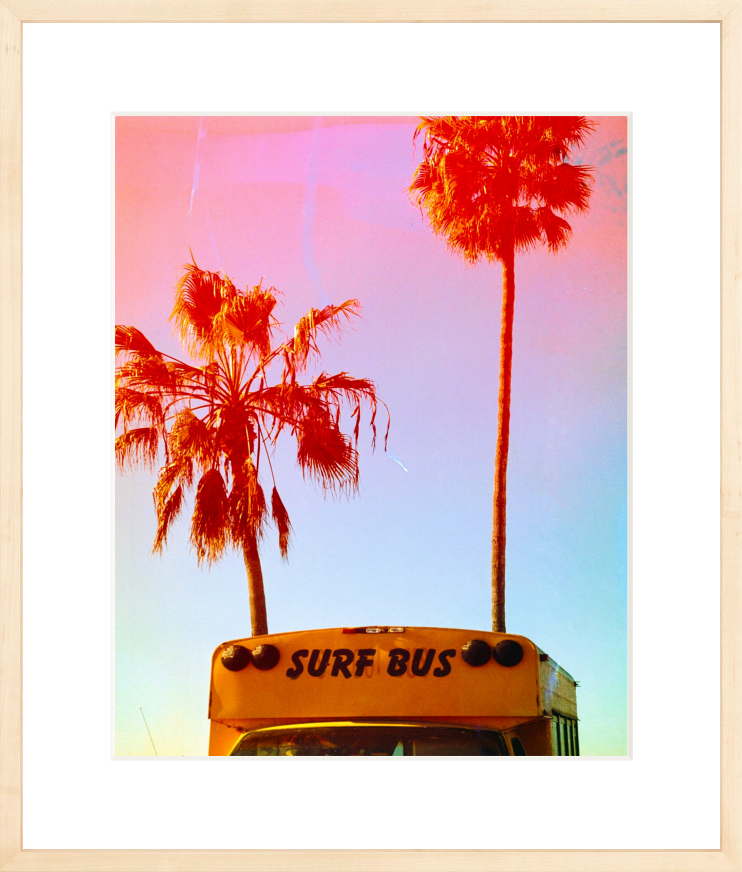 Surf Bus