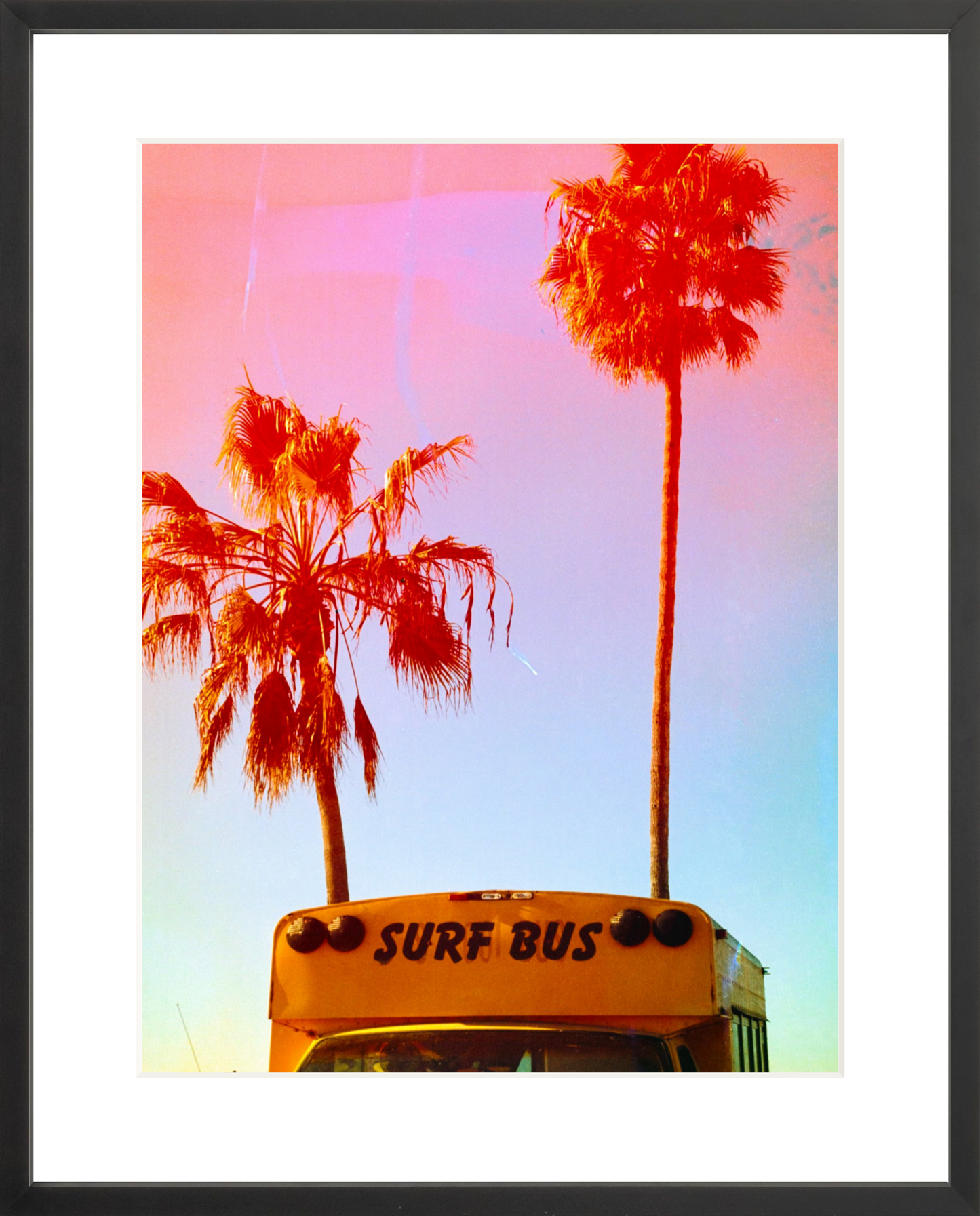 Surf Bus