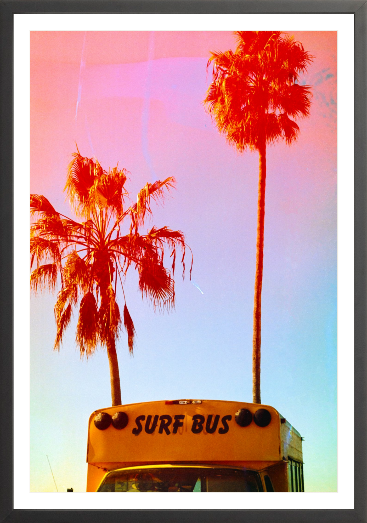 Surf Bus