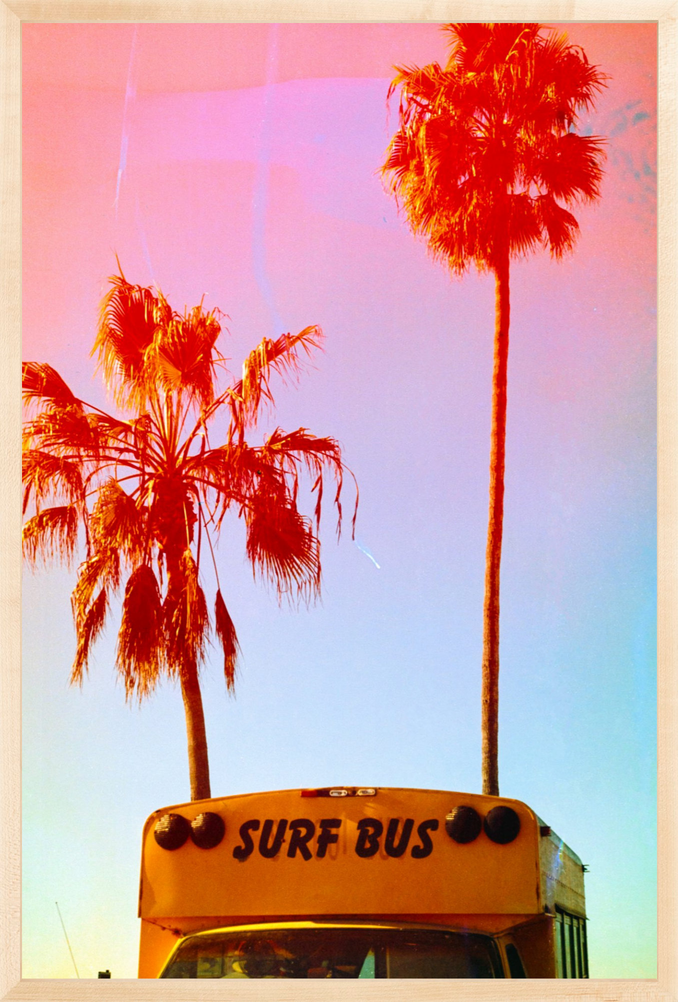 Surf Bus