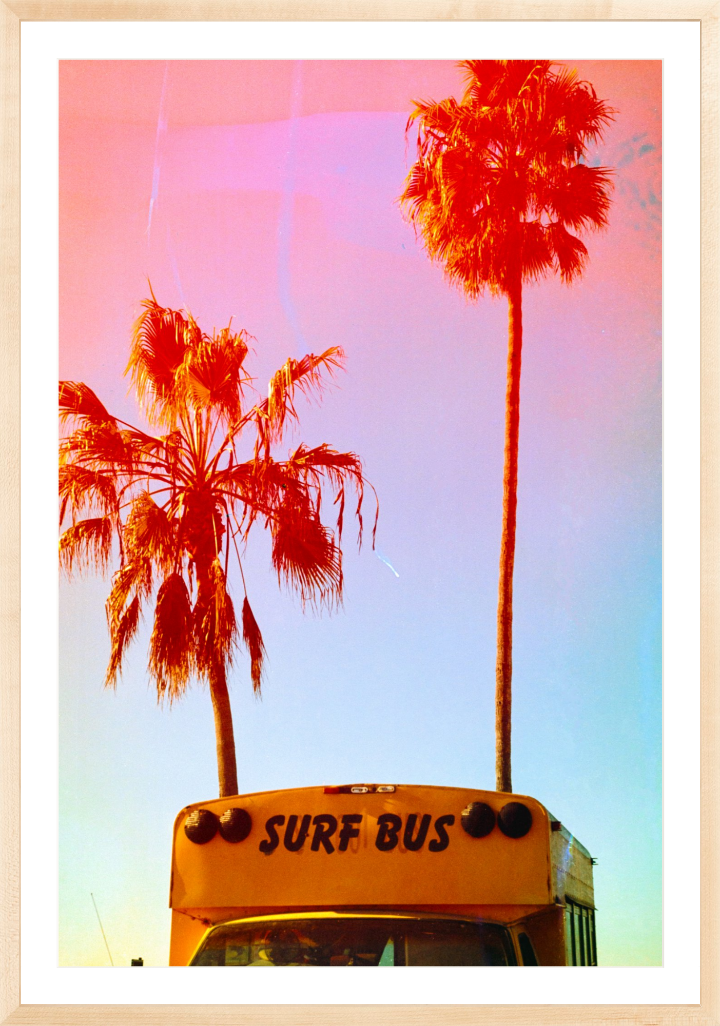 Surf Bus