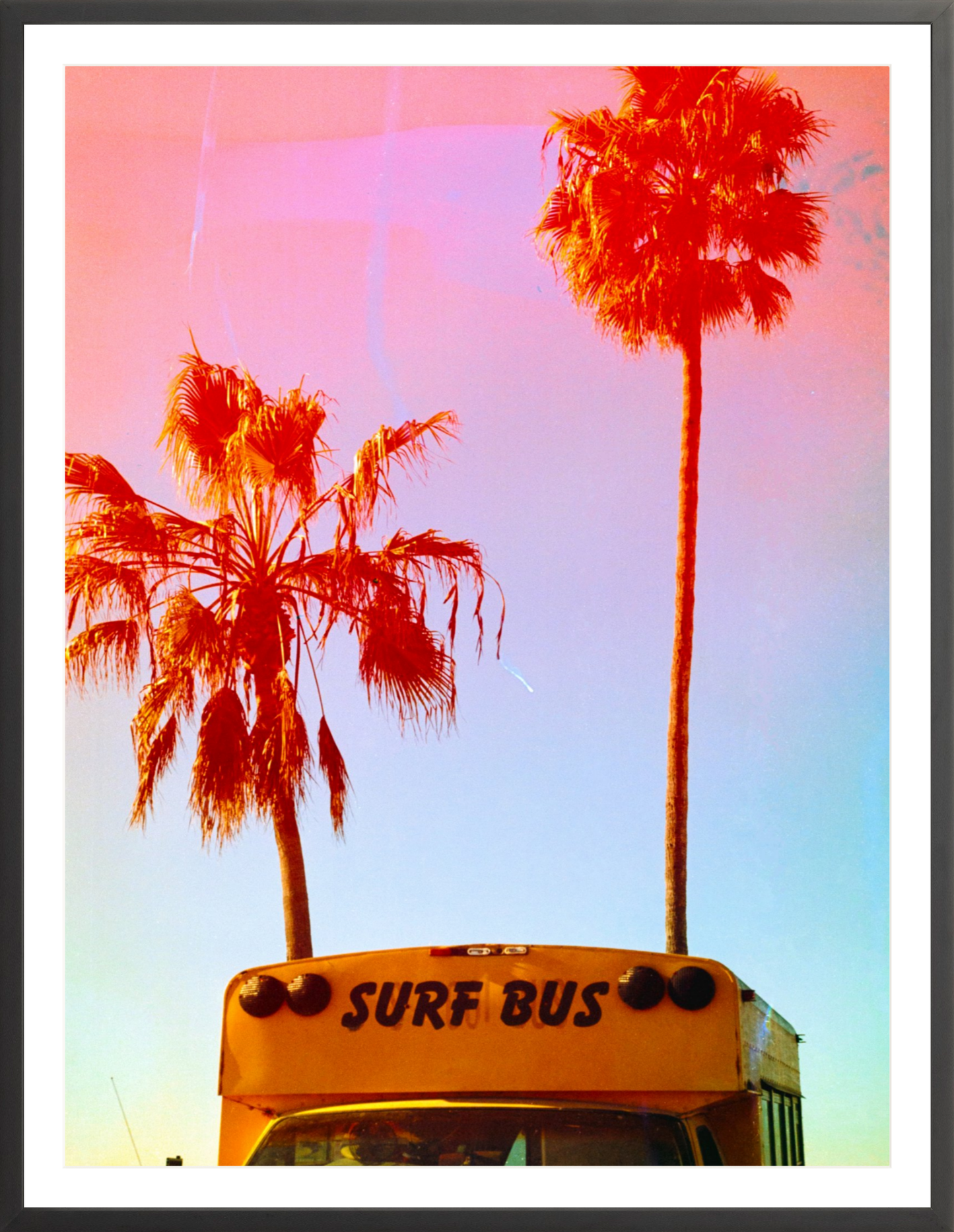 Surf Bus
