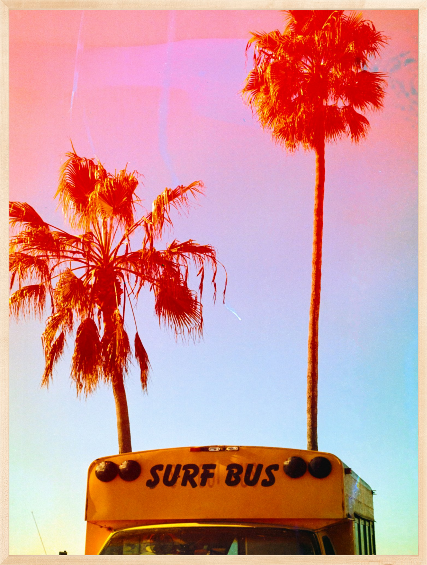 Surf Bus