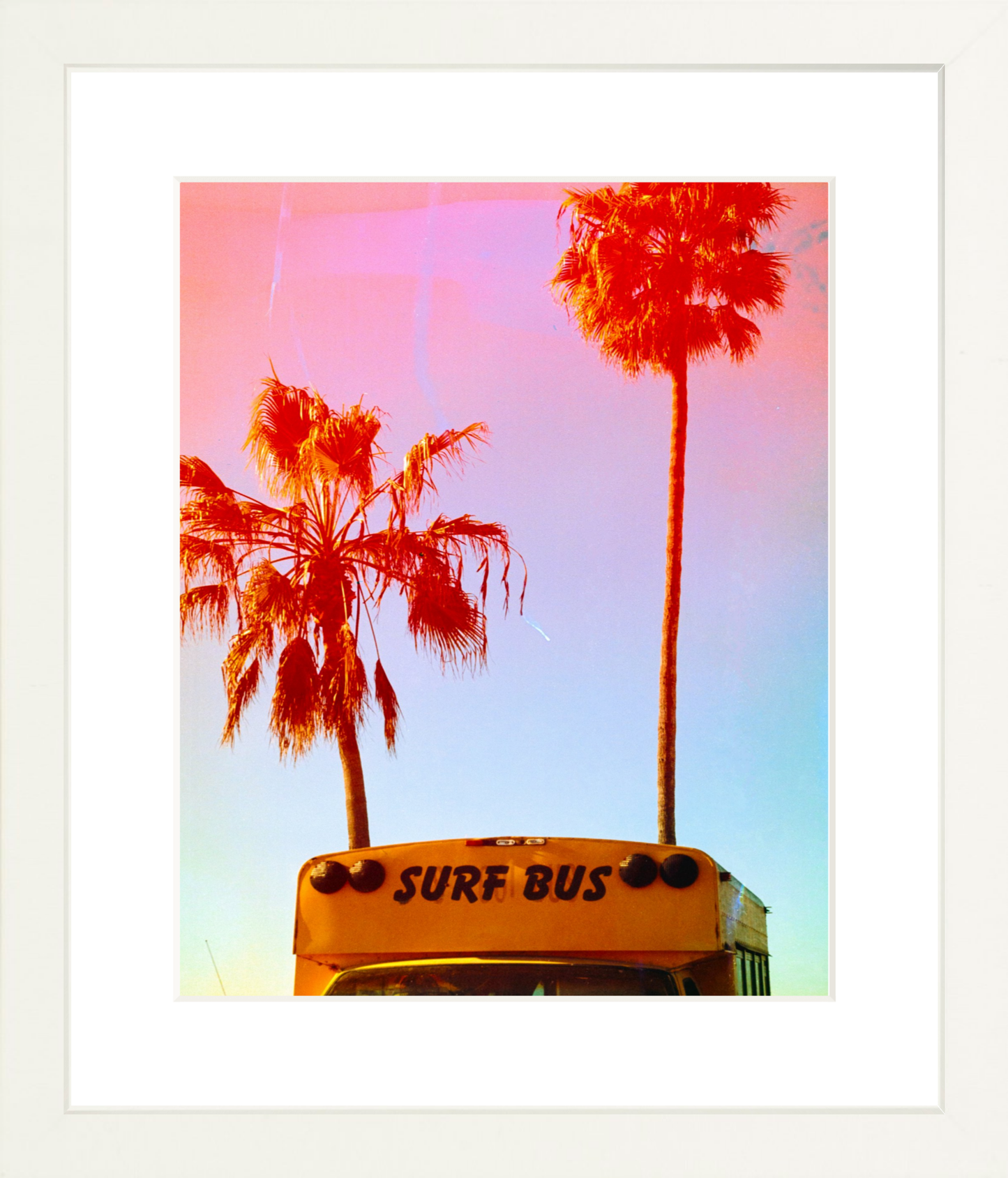 Surf Bus