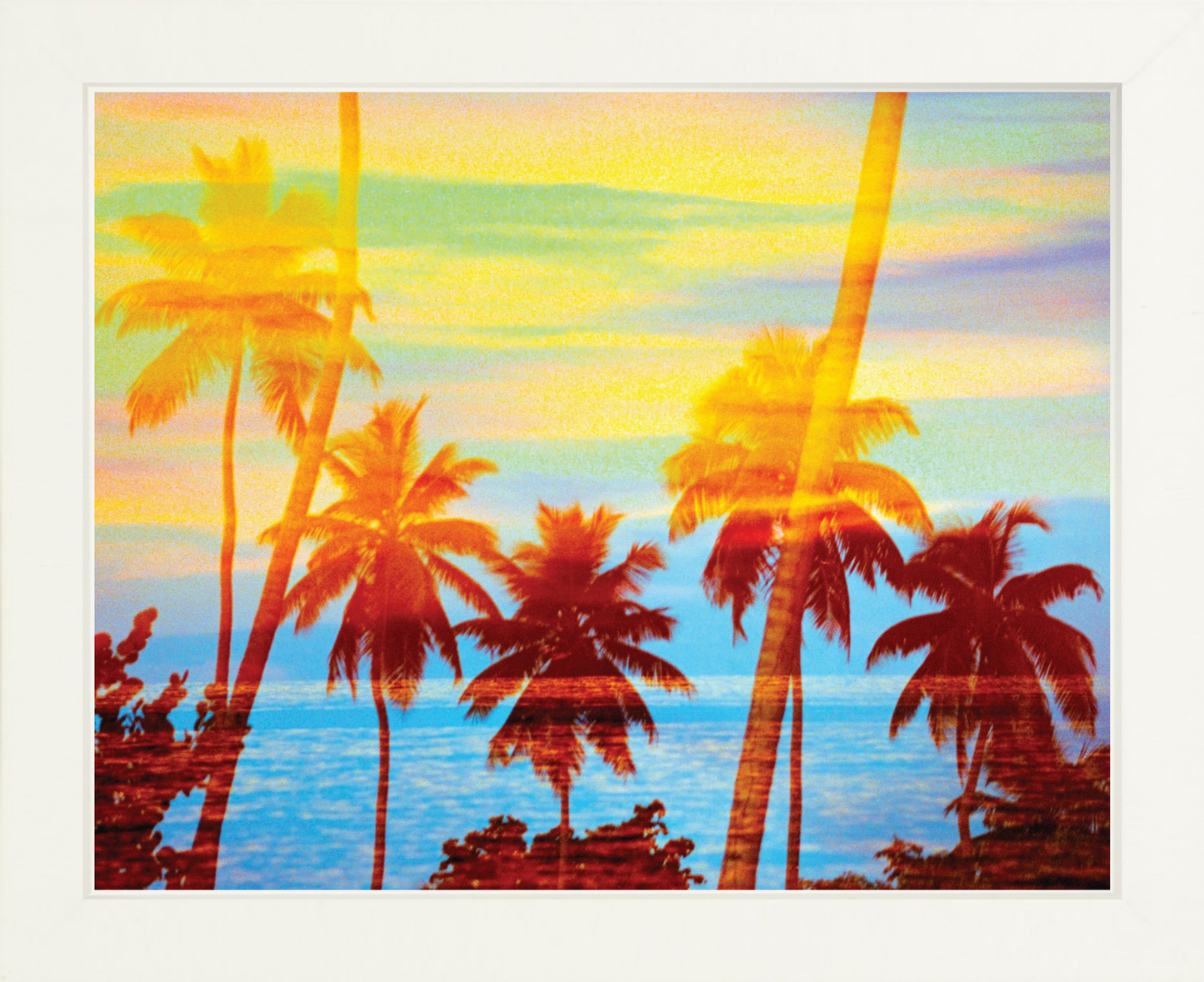 Tropical Sunset Palms