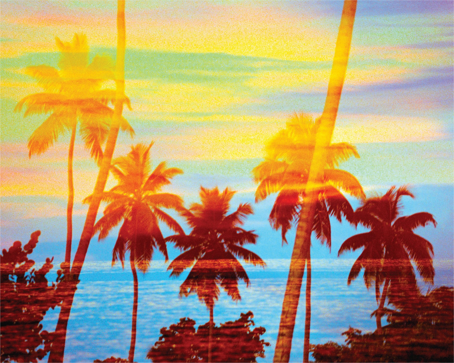 Tropical Sunset Palms