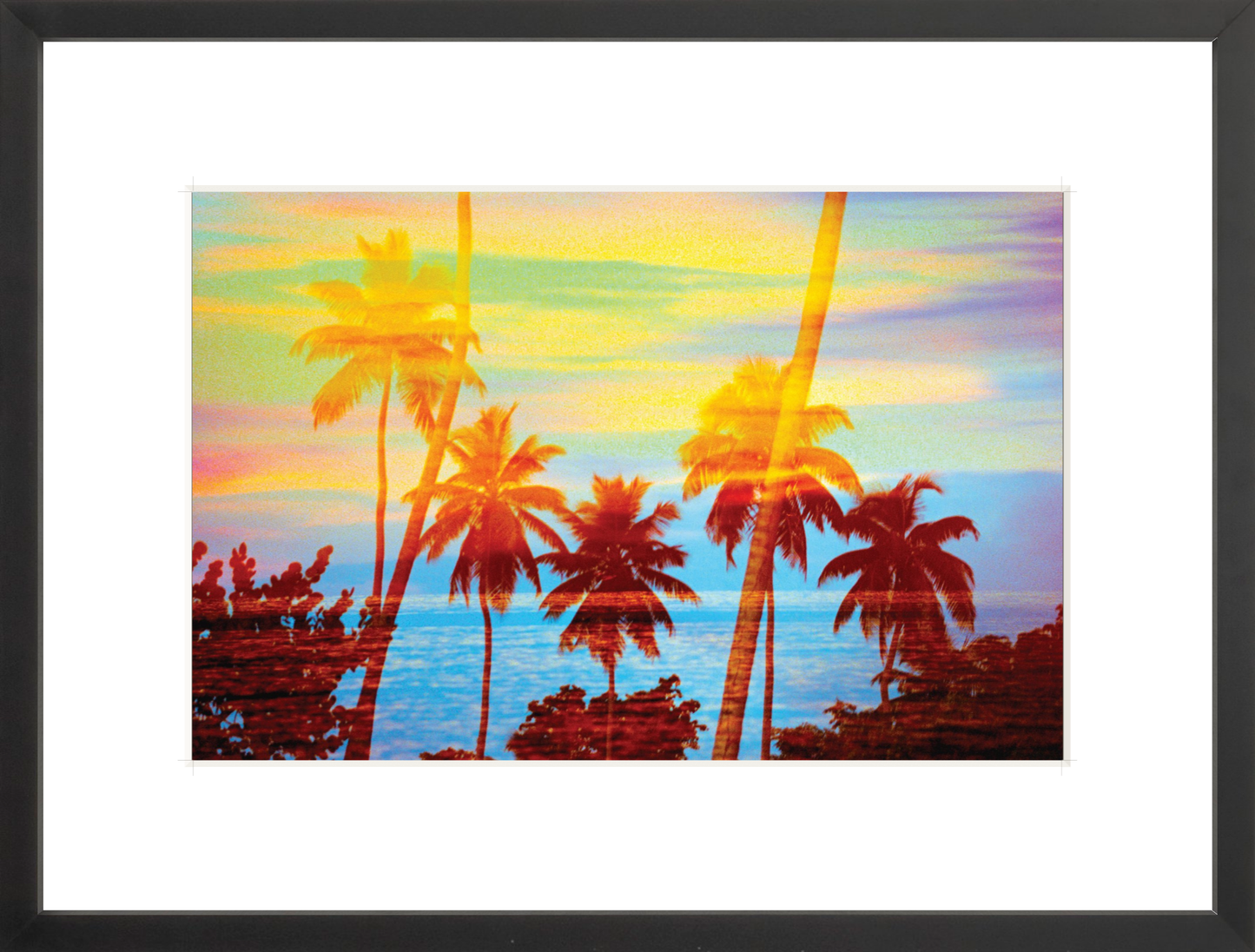 Tropical Sunset Palms