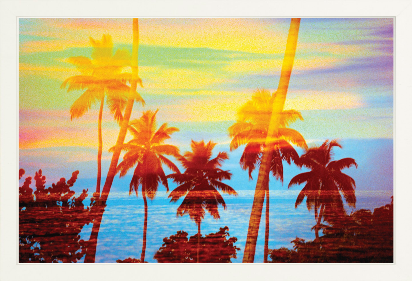 Tropical Sunset Palms