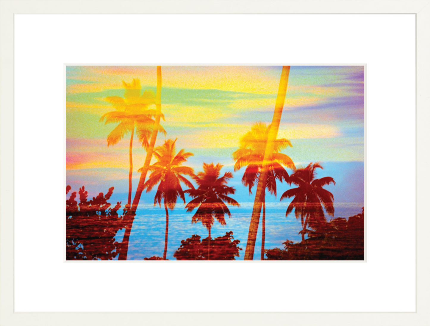 Tropical Sunset Palms