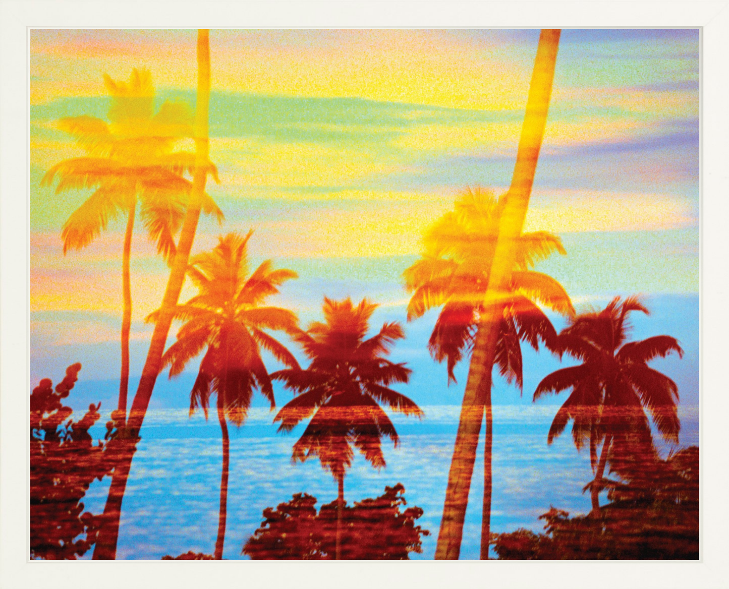 Tropical Sunset Palms