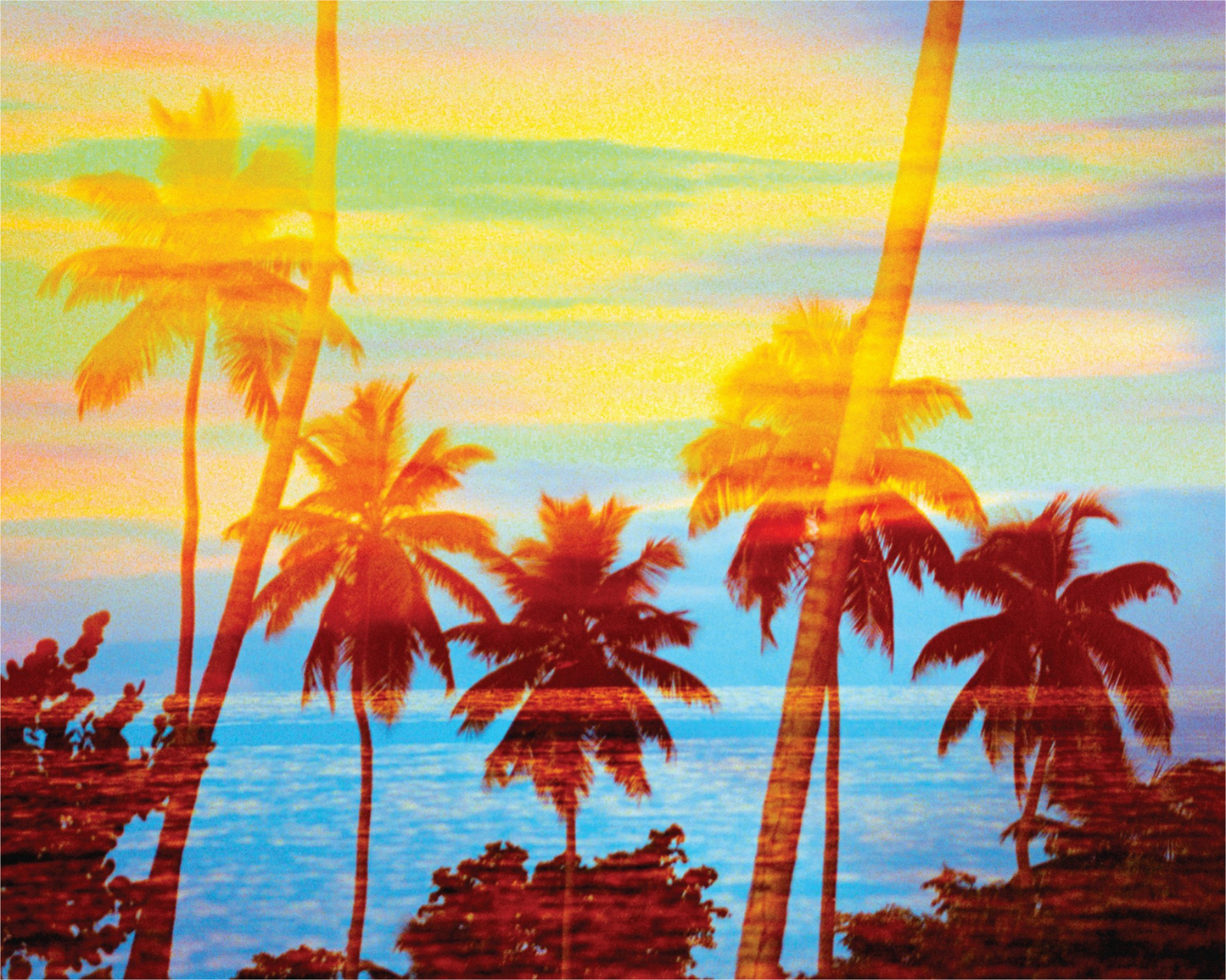 Tropical Sunset Palms