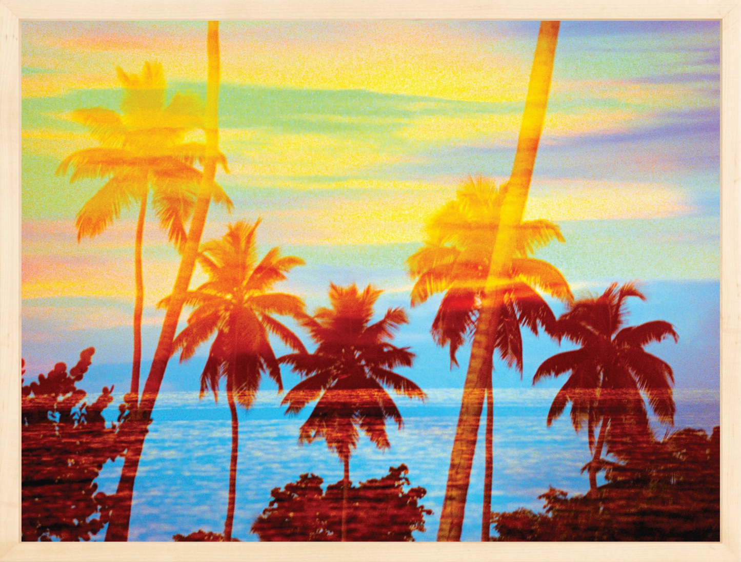 Tropical Sunset Palms