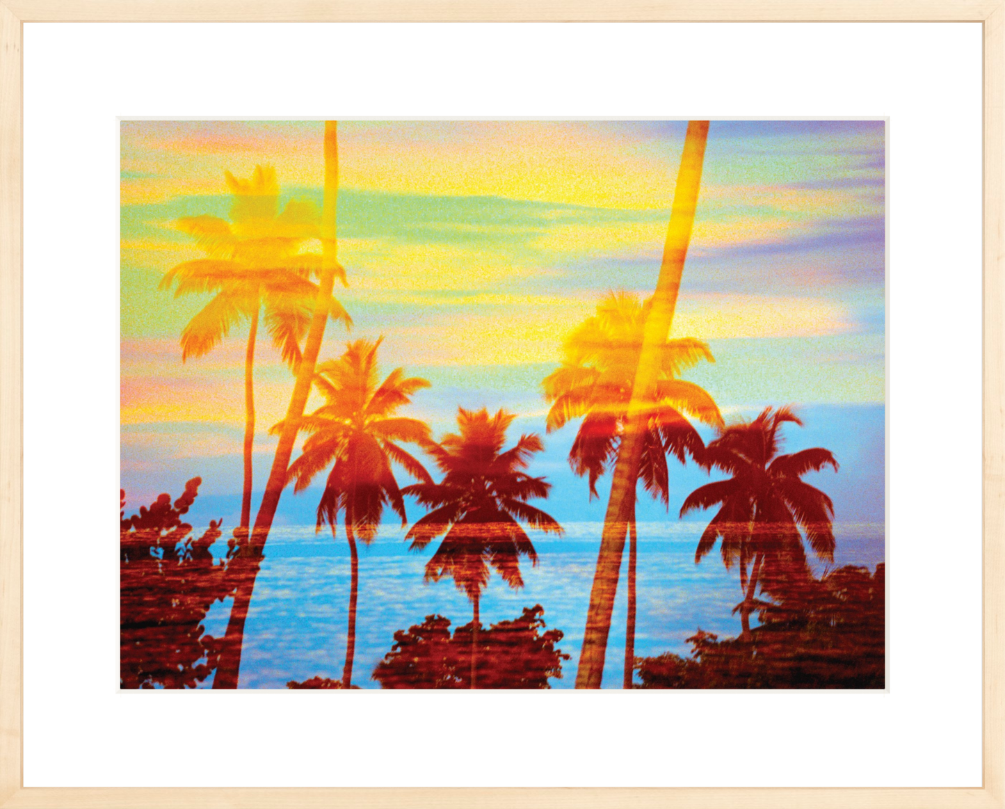 Tropical Sunset Palms