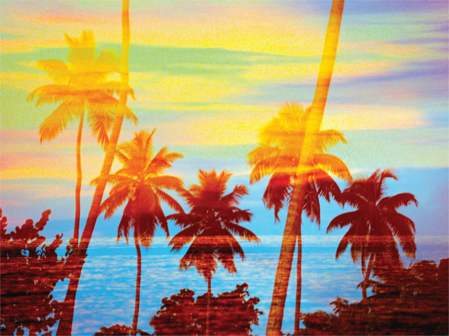 Tropical Sunset Palms