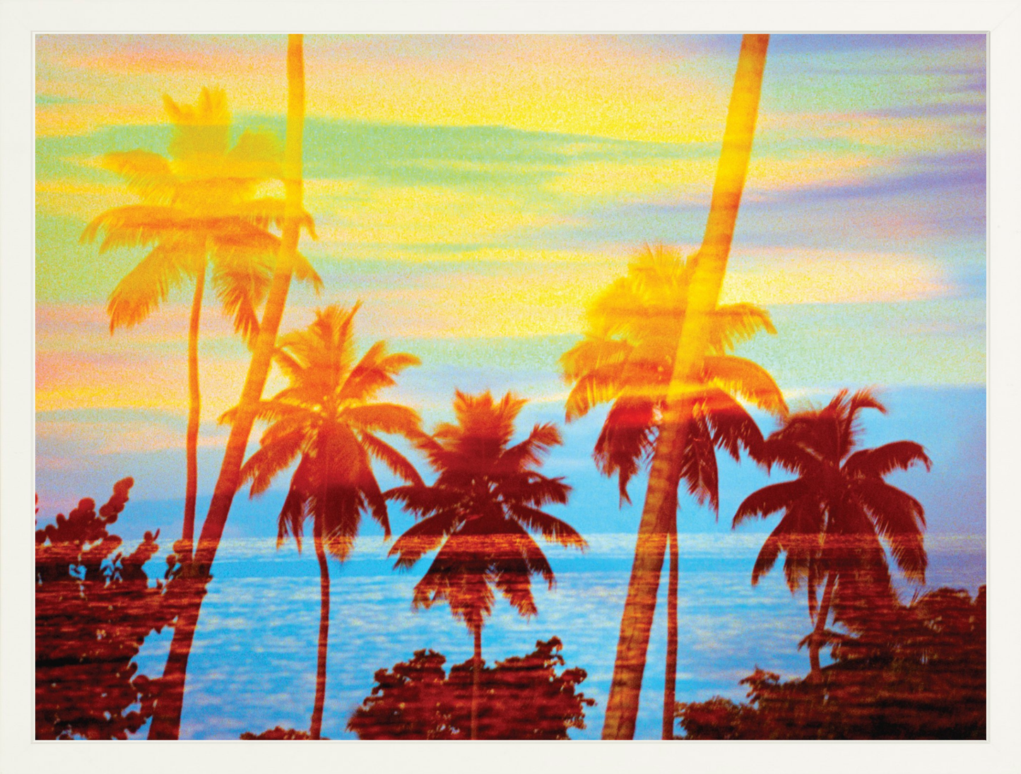 Tropical Sunset Palms