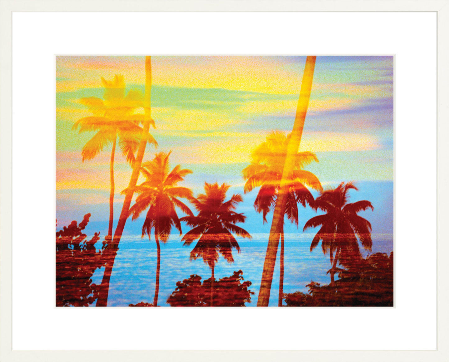 Tropical Sunset Palms