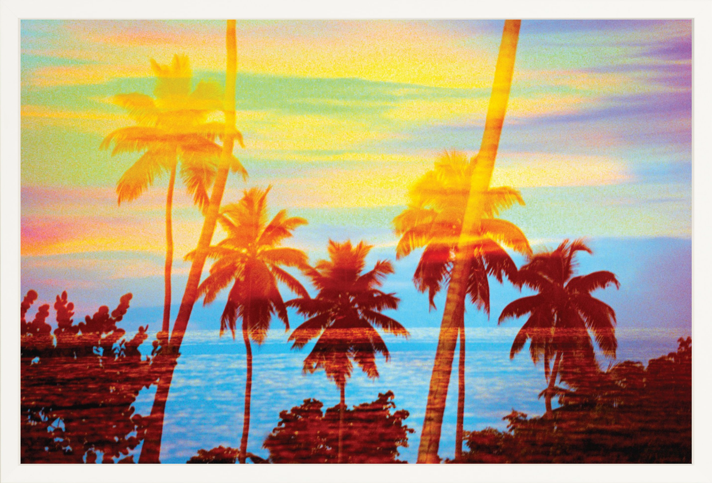 Tropical Sunset Palms