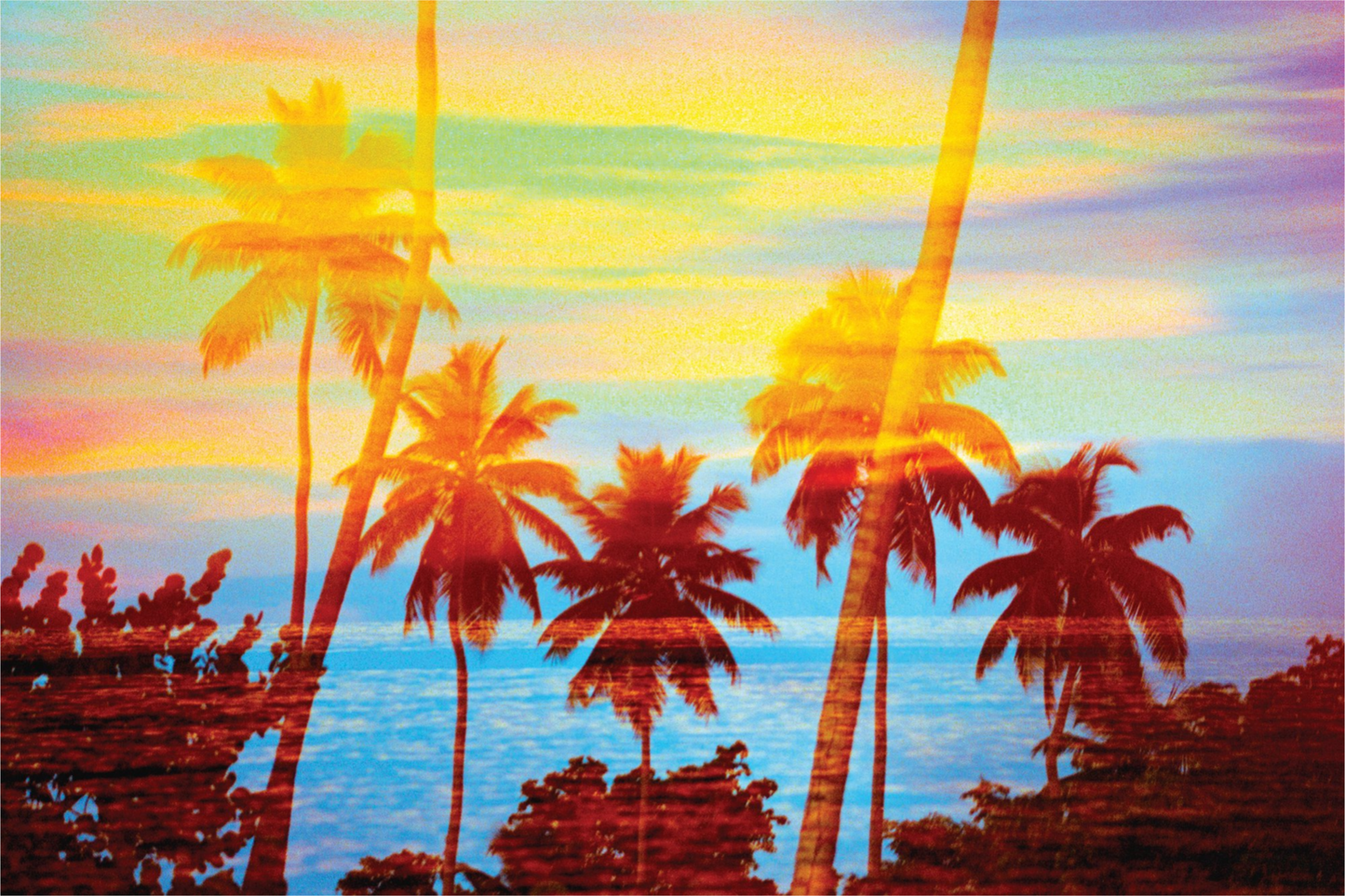 Tropical Sunset Palms