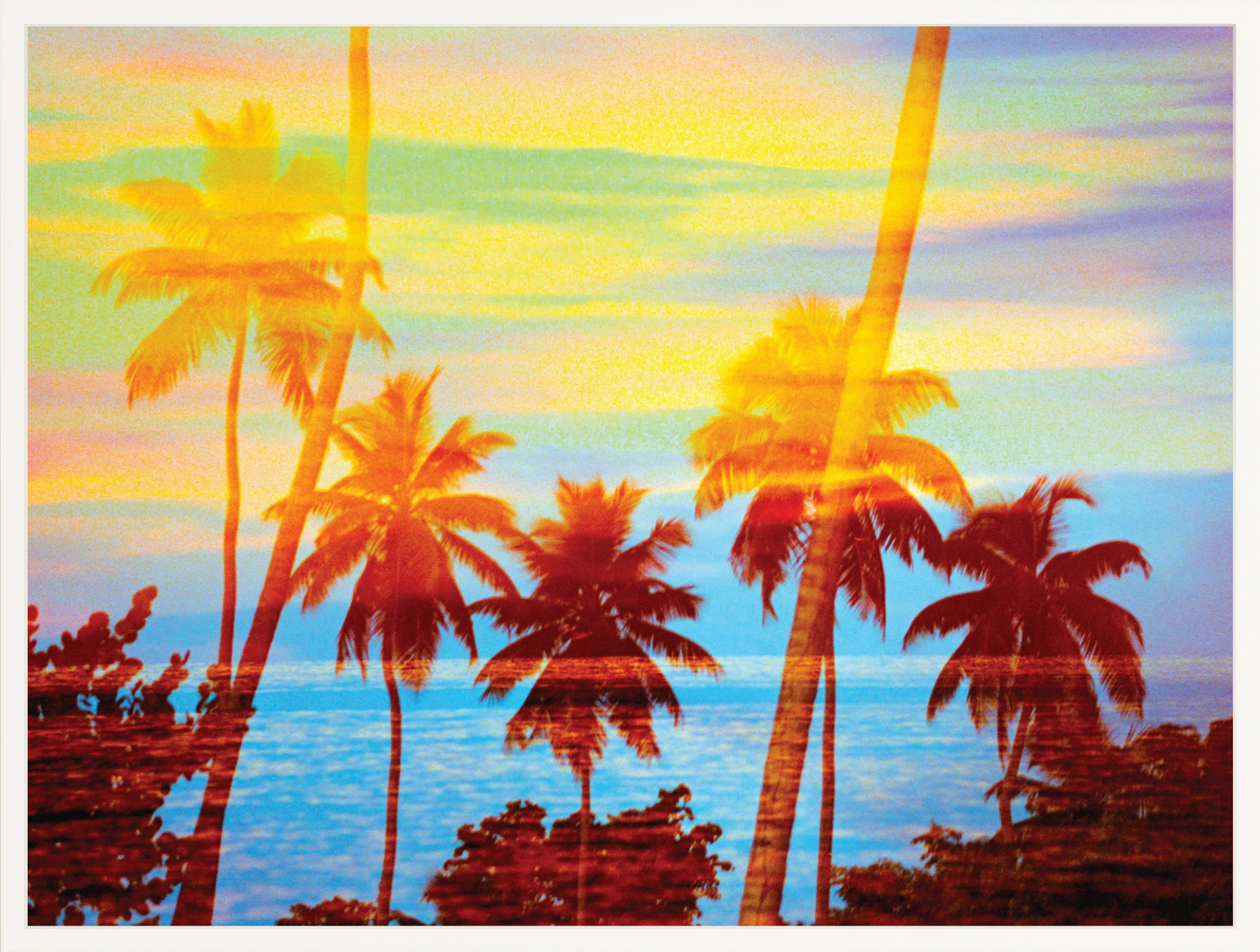 Tropical Sunset Palms