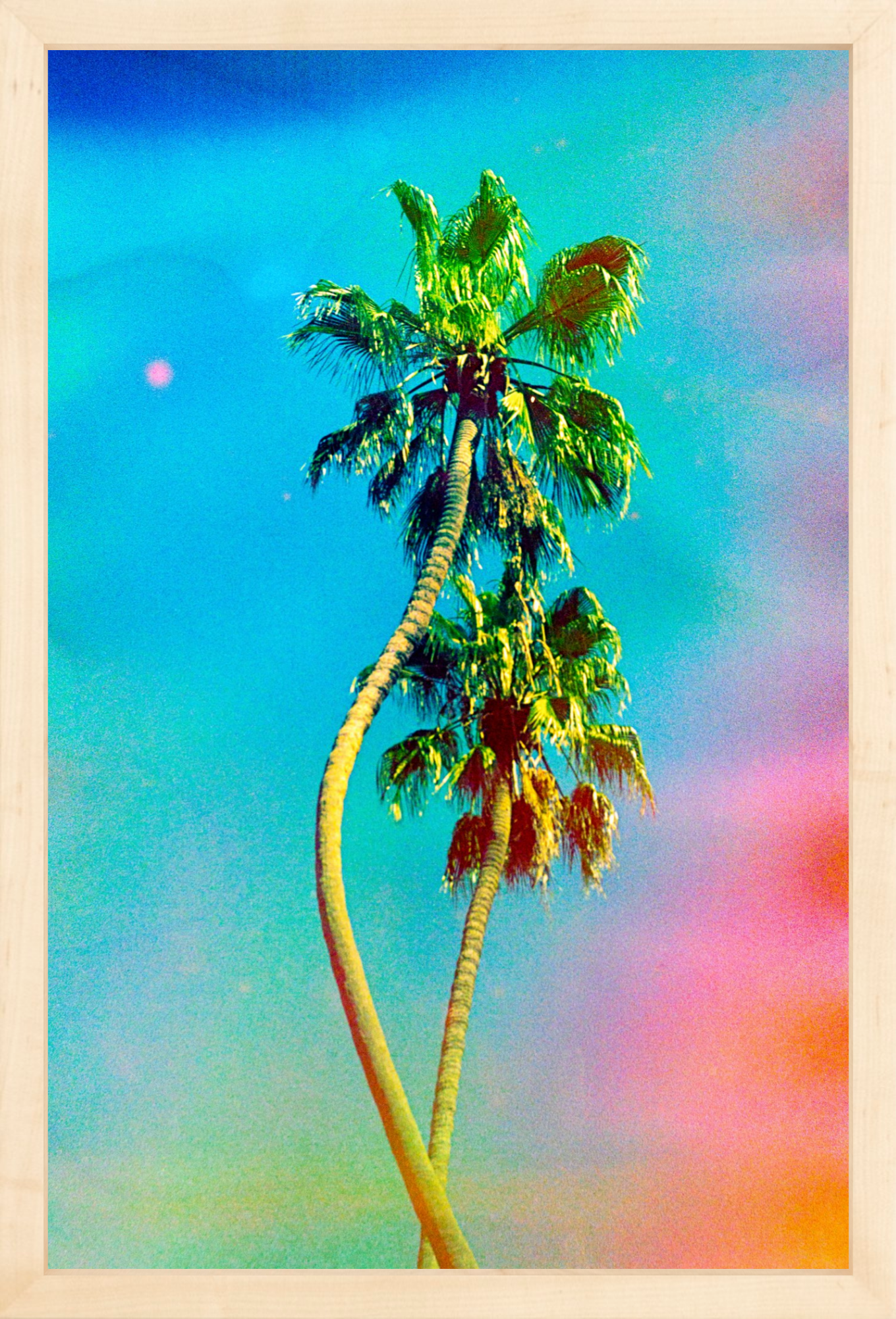 Two Dancing Palms