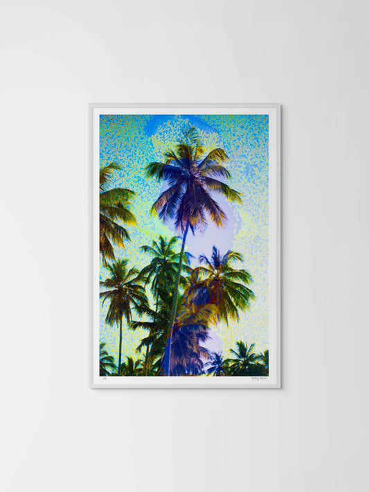 Take Me There No. 5